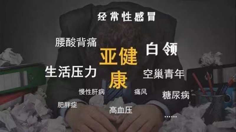 现代生活中的亚健康问题与调理策略