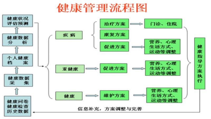 智能健康监测：让健康管理更轻松高效